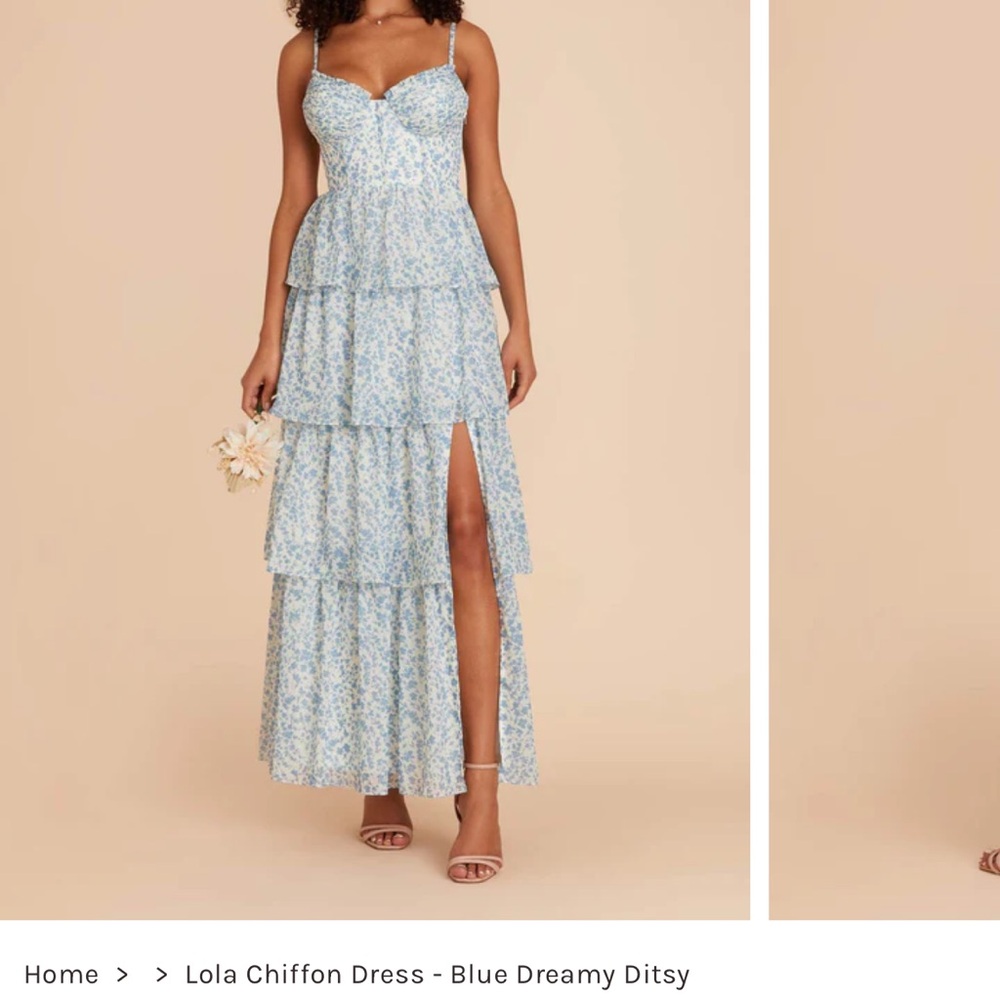 Birdy Grey Light Blue Floral Chiffon Dress